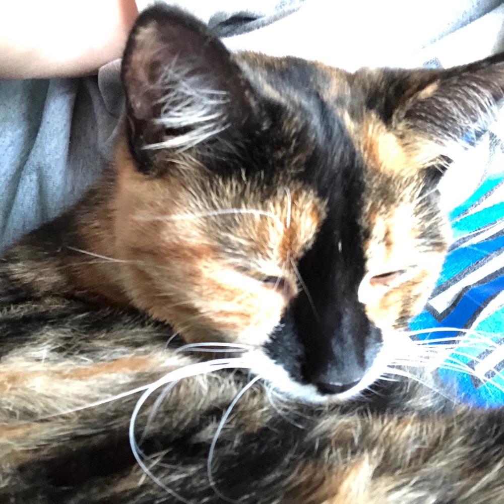 Meet your Posher, Anita